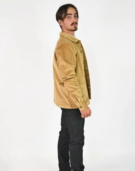 Aatise Zularit kurze Veste aus Bio-Cord Aatise, Beige, – Produktbild 3 von 4