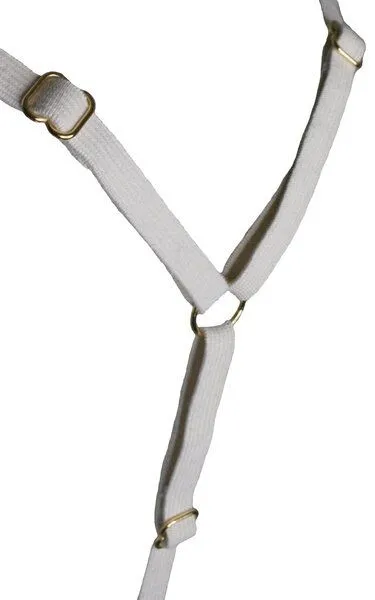 Golden Circle Clothing Golden Circle Clothing Soft BH mit Biogummi, Ecru, – Produktbild 3 von 4