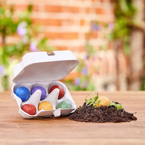 Die Stadtgärtner Osterblumen von Die Stadtgärtner 6 bunte Blumenmurmeln im Mini-Eierkarton – Produktbild 1 von 2