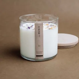 Munio Candela Munio Candela große Bio-Sojawachskerze im Glas mit Holzdochten & Duft – Produktbild 1 von 1