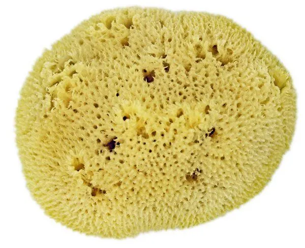 Spa Vivent Spa Vivent Geschenkset Seifendose aus Flüssigholz, Dudu Osun Seife, Naturschwamm, Grün, – Produktbild 4 von 4