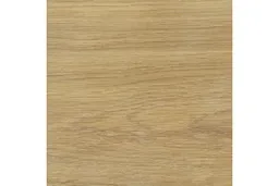 woodstore24 Rubio Monocoat Oil Plus MIST 5%-100 ml – Produktbild 1 von 1