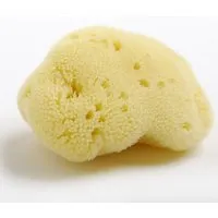 Kulmine Kulmine Menstruationsschwamm • 3 Größen – Produktbild 1 von 1