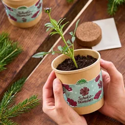 Die Stadtgärtner Die Stadtgärtner Schokoblumen aus dem Becher I Anzuchtset I Nachhaltiges Weihnachtsgeschenk – Produktbild 1 von 1