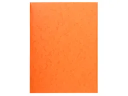 Exacompta 25 Exacompta Sammelmappen, Colorspan-Karton, 390 g/m², DIN A4, 3 Klappen, orange – Produktbild 1 von 1