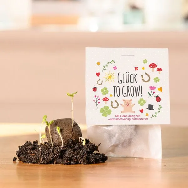 Ideenverlag Hamburg Ideenverlag Hamburg 10 Glück to grow Samenbomben im Tütchen mit Wildblumensaatgut – Produktbild 2 von 4