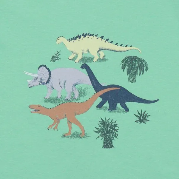 Walkiddy Walkiddy Kinder T-Shirt GOTS zertifiziert, Bio-Baumwolle, mintgrün, Dinosaurier-Print, weich & bequem, Blau, – Produktbild 2 von 3