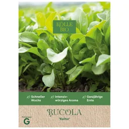Kölle Bio Kölle Bio Kräutersamen, Rucola 'Kultur' – Produktbild 1 von 1