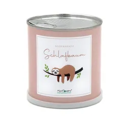 MacFlowers MacFlowers Pflanzen in der Dose - Faultier Schlafbaum - Blumen Geschenk – Produktbild 1 von 1