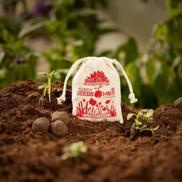 Die Stadtgärtner Die Stadtgärtner Seedbombs Blühendes Kornfeld I 8 handgemachte Wildblumen-Samenbomben – Produktbild 1 von 1