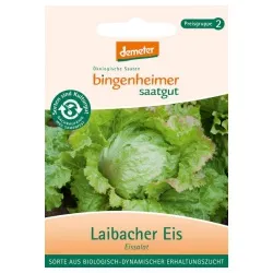 Bingenheimer Saatgut Eissalat Laibacher Eis – Produktbild 1 von 1
