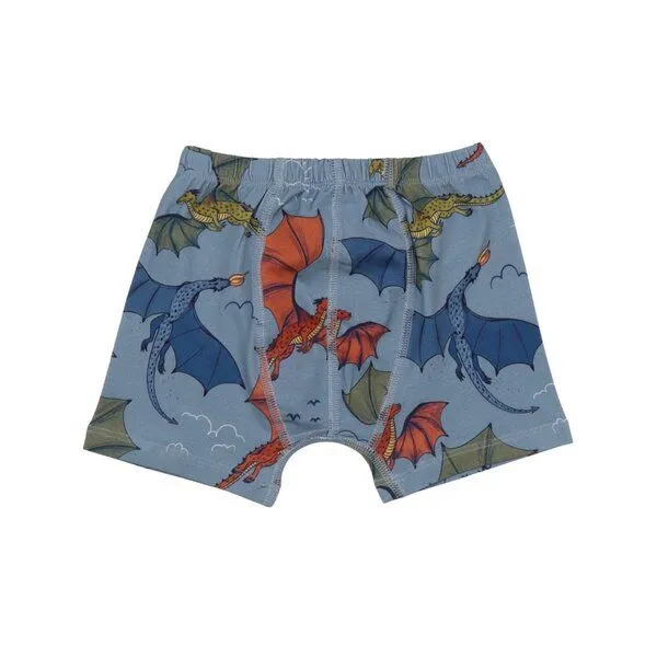 Walkiddy Walkiddy Boxershorts Hellblau Bunter Drache-Allover Bio-Baumwolle GOTS – Produktbild 2 von 3
