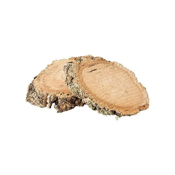Kork-Deko Kork-Deko Korkrinde: Baumscheibe Kork (2 Stück) – Produktbild 1 von 4