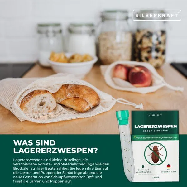 Silberkraft Silberkraft Lagererzwespen gegen Brotkäfer, Tabakkäfer, Kugelkäfer, Messingkäfer (Lariophagus distinguendes, Anisopteromalus calandrae) – Produktbild 3 von 4