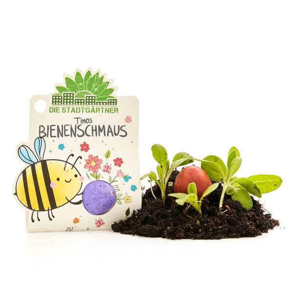 Die Stadtgärtner Die Stadtgärtner bunte Blumenmurmel das Original – Produktbild 2 von 2