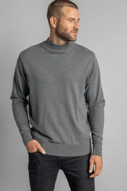 DIRTS DIRTS Herren vegan Pullover Mit Stehkragen Grau – Produktbild 1 von 1