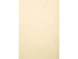 Exacompta 100 Exacompta Eindbanddeckel "Forever", 270 g/m², DIN A4, elfenbein – Produktbild 1 von 1