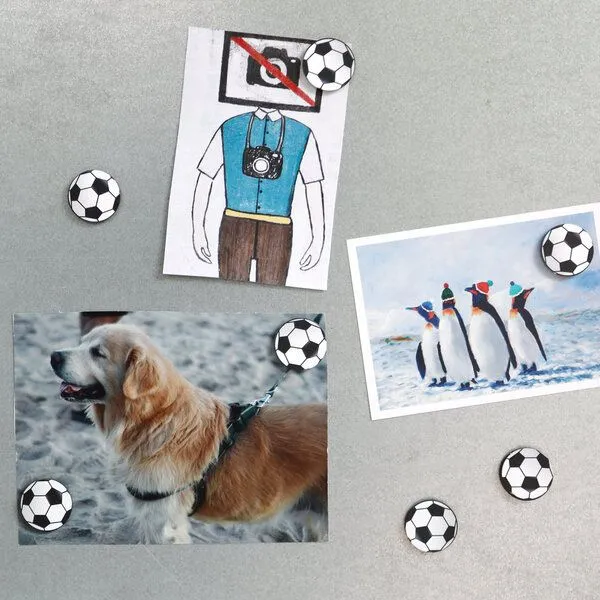 WERKHAUS WERKHAUS Magnet-Set - Fußball – Produktbild 3 von 4