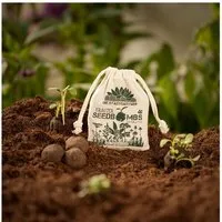 Die Stadtgärtner Die Stadtgärtner Seedbombs Wildkräuter I 8 Handgemachte Samenbomben mit 6 Kräutersamen – Produktbild 1 von 1