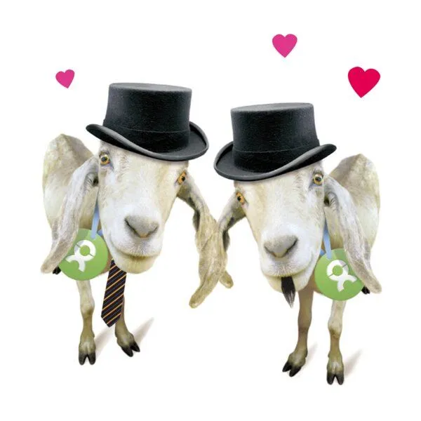 OxfamUnverpackt OxfamUnverpackt Spenden-Geschenk "Ziegenpärchen er & er" (Grußkarte mit Magnet) – Produktbild 1 von 2