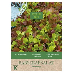 Kölle Bio Kölle Bio Saatgut Babyleaf-Salat 'Mesclun' – Produktbild 1 von 1