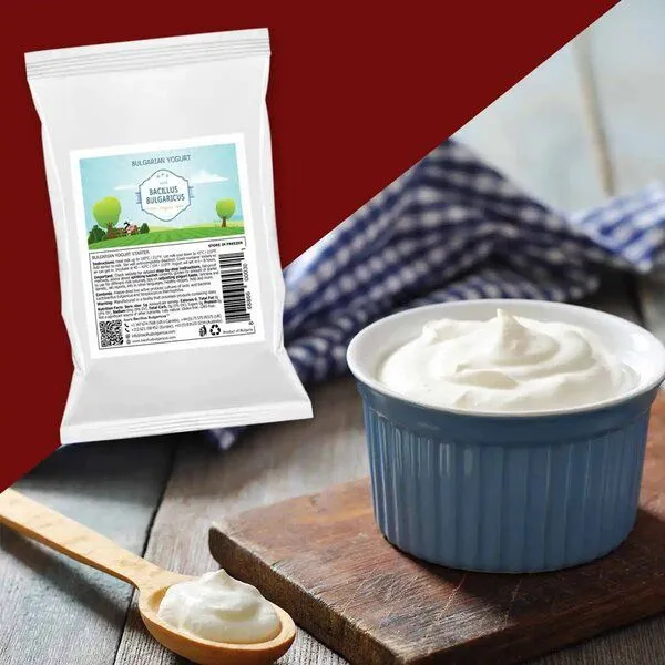 Bacillus Bulgaricus Bulgarische Joghurtkulturen - Naturjoghurt selber machen (3er Pack) – Produktbild 4 von 4