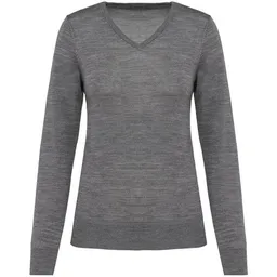 Greenspired Greenspired Merino-Damenpullover mit V-Ausschnitt 220g/m² – Produktbild 1 von 1
