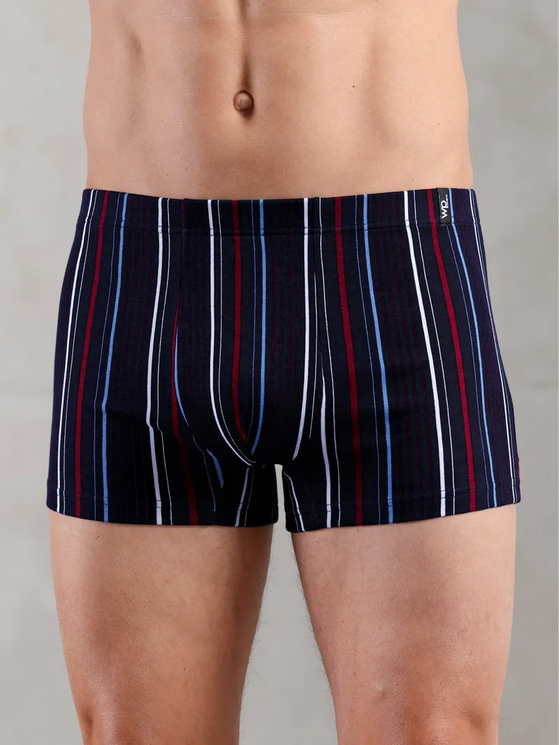 wäschepur men Pants marine + marine-gestreift, Marine + marine-gestreift, – Produktbild 1 von 2