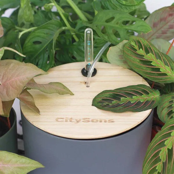 CitySens CitySens Automatische Tropfbewässerung mit Wasserspeicher, Anthrazit, – Produktbild 1 von 4