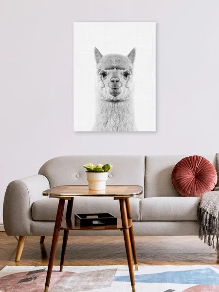 Photocircle Photocircle Poster / Leinwandbild - Alpaca (Black and White) – Produktbild 2 von 4