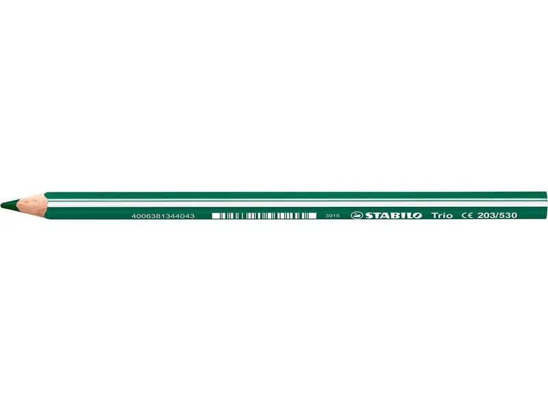 Stabilo Stabilo Buntstift 'Trio' dick, Grün, – Produktbild 1 von 1