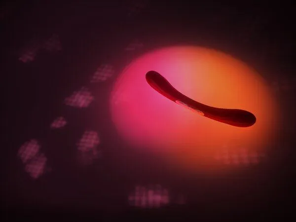 LELO Doppelvibrator - LELO BOOMERANG, Rosa, – Produktbild 4 von 4