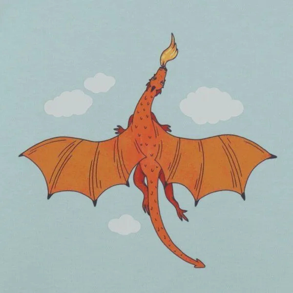 Walkiddy Walkiddy T-Shirt Hellblau Bunter Drache-Frontprint Bio-Baumwolle GOTS – Produktbild 2 von 3