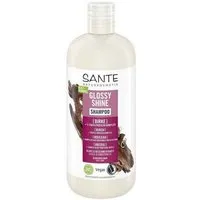 Sante Sante Glanz Shampoo Bio-Birkenblatt & pflanzliches Protein 500 ml – Produktbild 1 von 1
