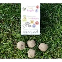 Aries ARIES SaatKugeln Bienenweide – Produktbild 1 von 1