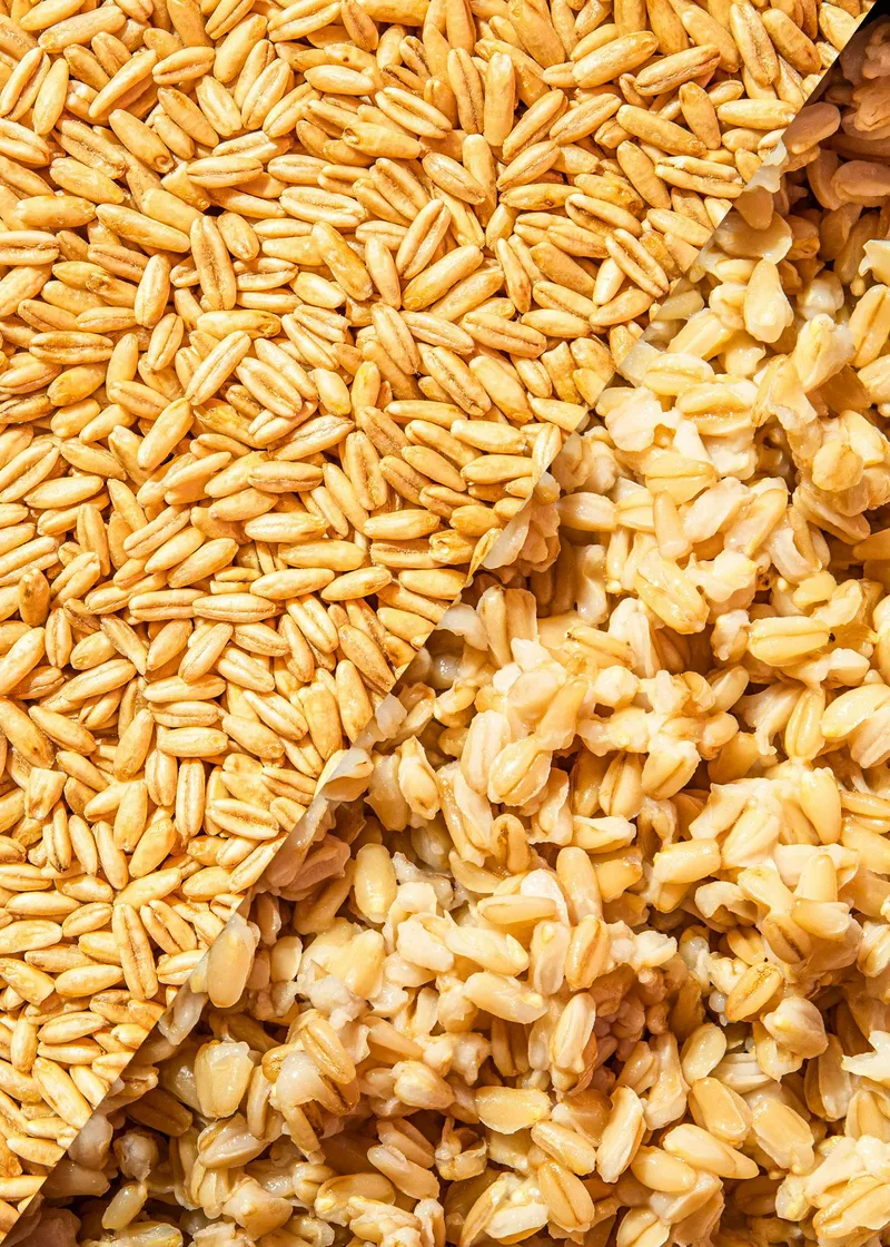 KoRo Bio Haferkerne | 2,5 kg – Produktbild 1 von 5