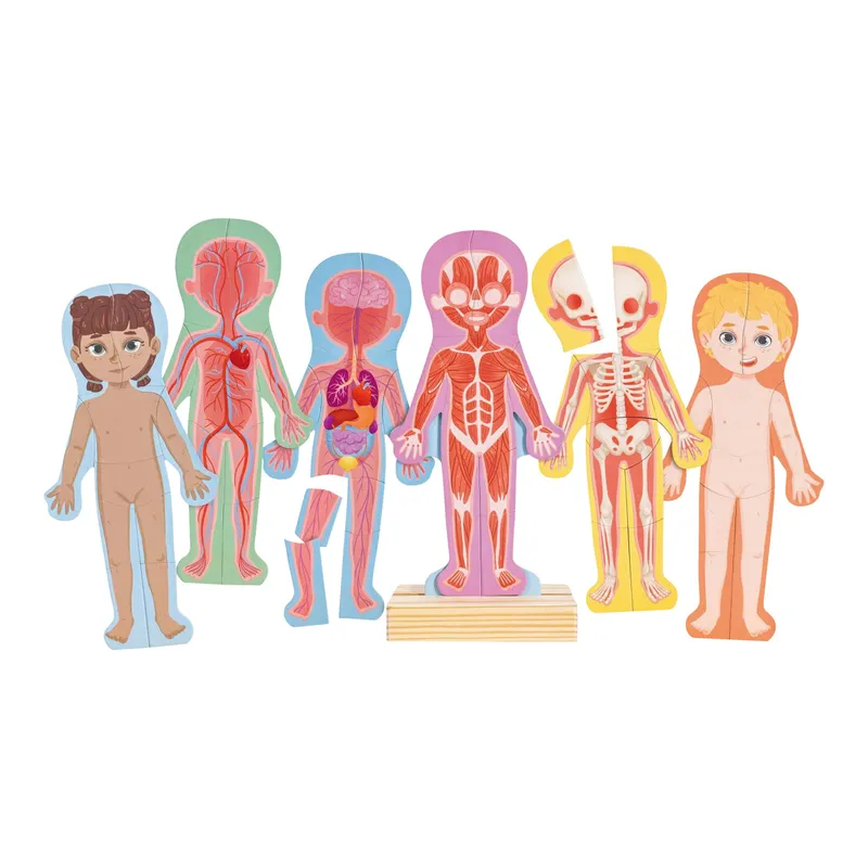 Hape Hape Magnetisches Puzzle - Menschlicher Körper, Mehrfarbig, – Produktbild 1 von 3