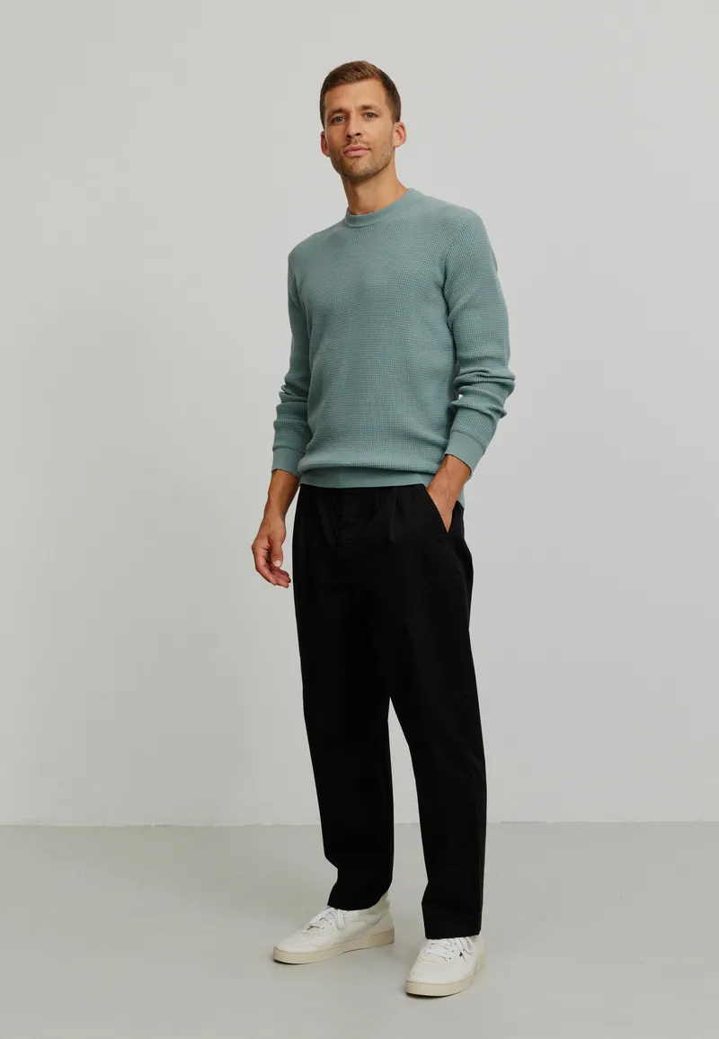 recolution Recolution Herren vegan Pullover Lupine Tannengrün, Hellgrün, – Produktbild 1 von 2