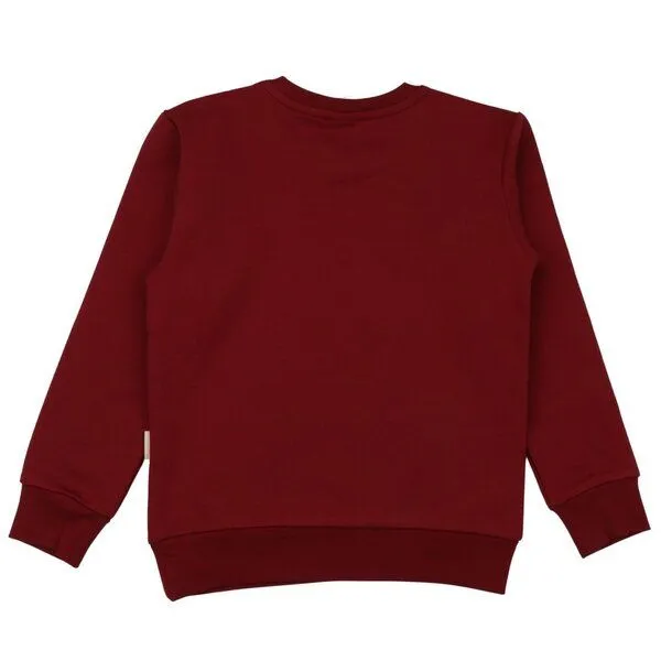 Walkiddy Kinder Sweatshirt aus Bio-Baumwolle in Burgund, GOTS-zertifiziert, kuschelig, strapazierfähig, pflegeleicht und vielseitig kombinierbarer Allrounder von Walkiddy, Dunkel rot, – Produktbild 3 von 3