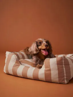 Vertbaudet Hundebett mit herausnehmbarem Kissen – Produktbild 1 von 1