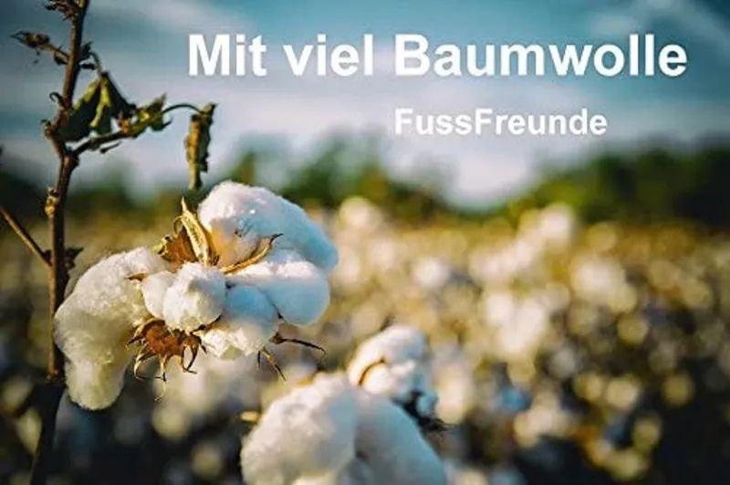 FussFreunde Socken 6 Paar Kindersocken Bio-Baumwolle Ringel für Mädchen & Jungen (6 Paar) buntes Blockstreifen-Design, handgekettelte Naht, Bunt, – Produktbild 5 von 5