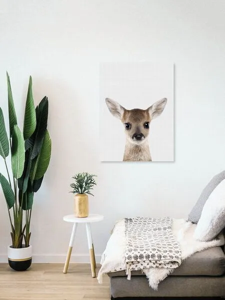 Photocircle Photocircle Poster / Leinwandbild - Fawn – Produktbild 8 von 8