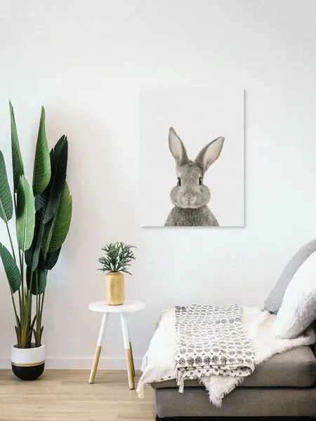 Photocircle Photocircle Poster / Leinwandbild - Rabbit – Produktbild 4 von 4