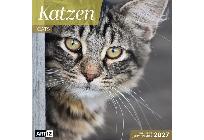 Ackermann Wandkalender Katzen Kalender 2027 - 30x30 - Art12 – Produktbild 1 von 4