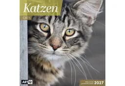 Ackermann Wandkalender Katzen Kalender 2027 - 30x30 - Art12 – Produktbild 1 von 1