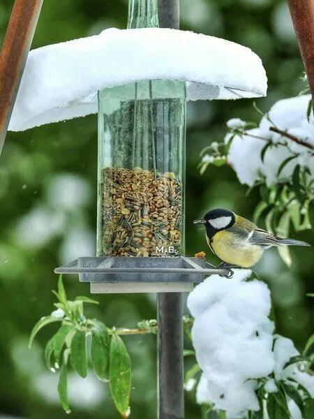MaBe MaBe Vogelfutterstelle + hängeWINDLICHT + WINDLICHT – Produktbild 2 von 4