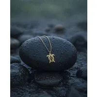 Zeachild Zeachild Kette mit Schildkröte Var. C aus langlebigem & rostfreiem Edelstahl, Gold, – Produktbild 1 von 2