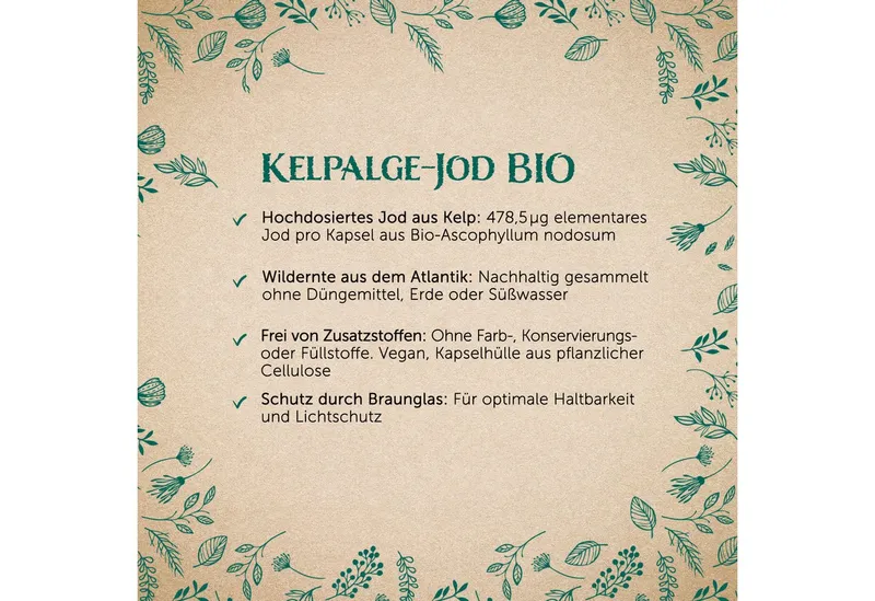 Waldkraft Waldkraft Erdling BIO Kelpalgen-Jod Kapseln, Hochdosiert mit 478,5 µg Jod – Bio-zertifiziert & Vegan à 120 St., 78 g – Produktbild 3 von 5
