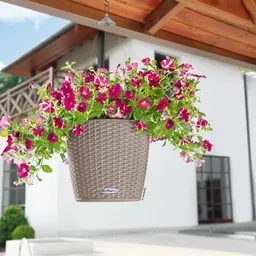 Lechuza® Lechuza® 'Nido Cottage 35', sandbraun, ca. Ø 35 x H 23 cm – Produktbild 1 von 1