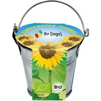 Bio-Mini-Pflanzset "Eimerchen", Sonnenblume – Produktbild 1 von 1